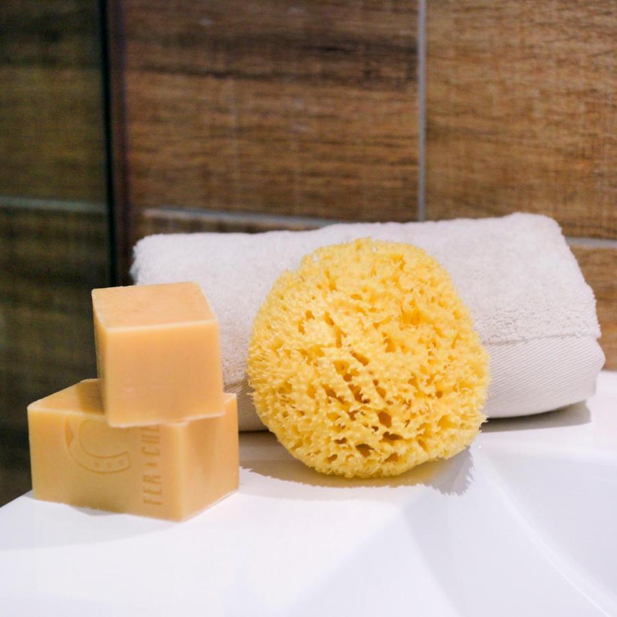 Apartamento De Diseno En Casco Antiguo 알테아 외부 사진